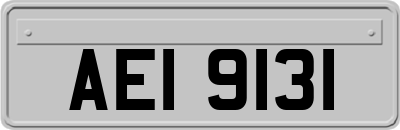 AEI9131