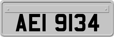 AEI9134