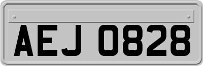 AEJ0828