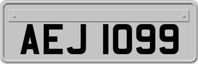 AEJ1099