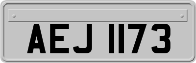 AEJ1173