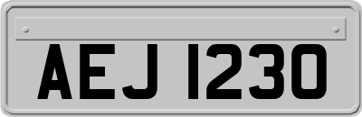 AEJ1230