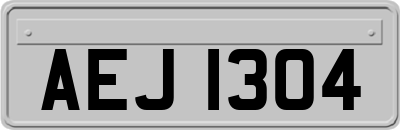 AEJ1304