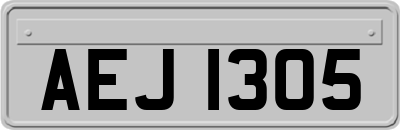 AEJ1305