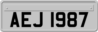 AEJ1987