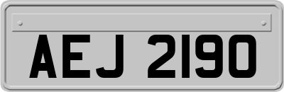 AEJ2190