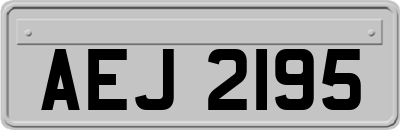 AEJ2195