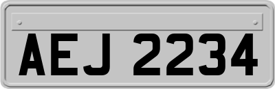 AEJ2234