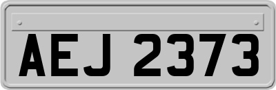 AEJ2373