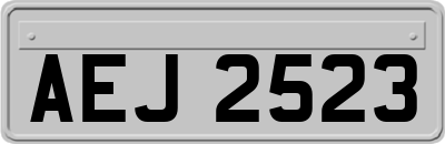 AEJ2523