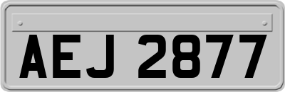 AEJ2877