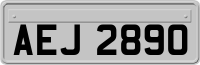 AEJ2890