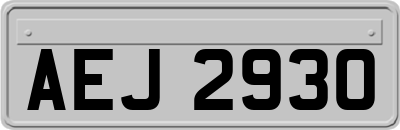 AEJ2930