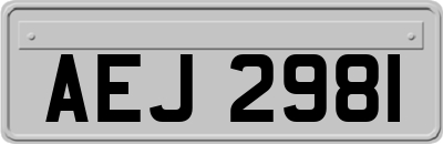 AEJ2981