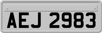 AEJ2983