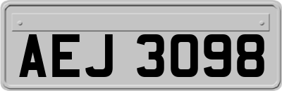 AEJ3098