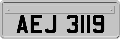 AEJ3119
