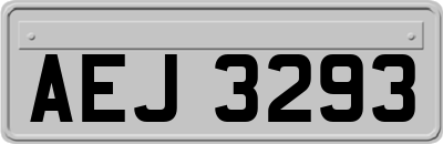 AEJ3293