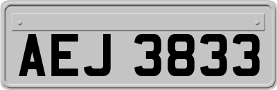 AEJ3833