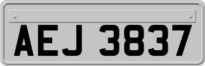 AEJ3837