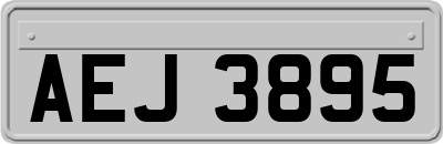 AEJ3895