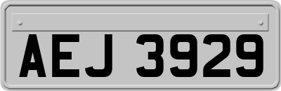 AEJ3929