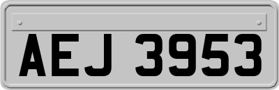 AEJ3953