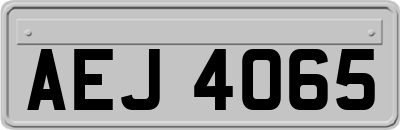 AEJ4065