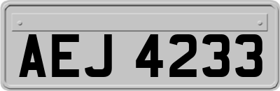 AEJ4233