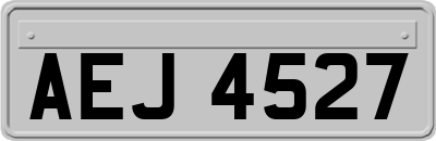 AEJ4527