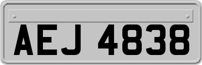 AEJ4838