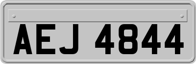 AEJ4844