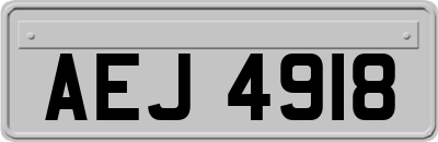 AEJ4918
