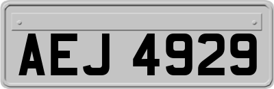 AEJ4929