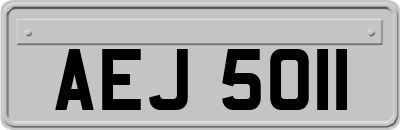 AEJ5011