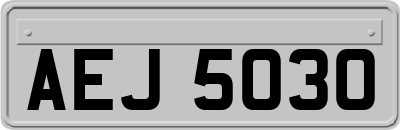 AEJ5030