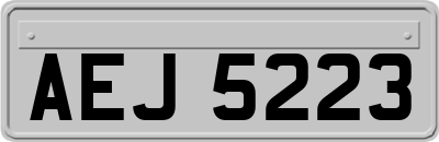AEJ5223