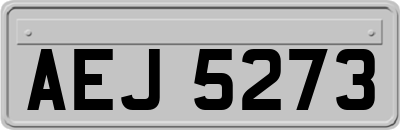 AEJ5273