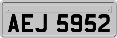 AEJ5952