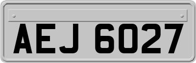 AEJ6027