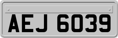 AEJ6039