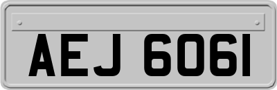 AEJ6061