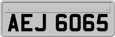AEJ6065