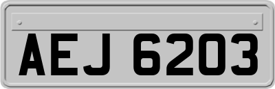 AEJ6203