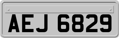 AEJ6829