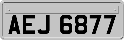 AEJ6877