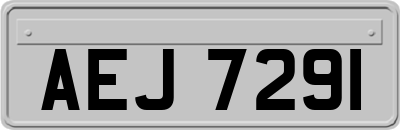 AEJ7291