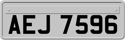 AEJ7596