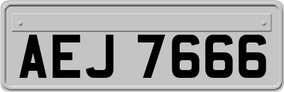 AEJ7666