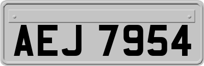 AEJ7954